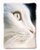 Avis Fur : Un portrait imaginaire de Diane Arbus par KittyKat