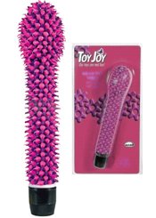 Toy Joy Groovy Vibe