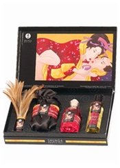 Shunga Tendresse et Passion