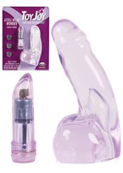 Toy Joy Little Willy Wonder