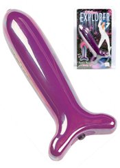 California Exotic Vibro Explorer