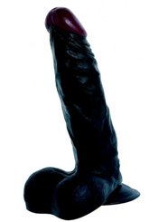 (inconnue) LEE ROY NOIR