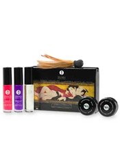 Shunga Secrets de Geishas - Geisha's Secrets Collection
