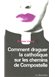 Avis Comment draguer la catholique sur les chemins de Saint-Jacques-la-Compostelle